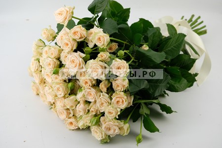 Кустовые розы Яна купить в Москве недорого